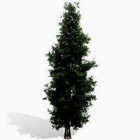 Eastern Red Cedar tree collection 12 trees Models in the scene
