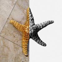 Dry decorative photoscanned Starfish
