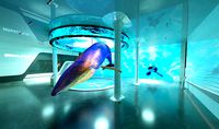 Oceanographic Museum