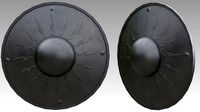 Buckler shield
