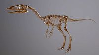 Compsognathus sculpture | 3D
