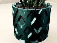 succulent plant pot 54 | 3D