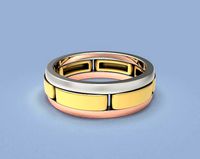Versatile Narrow Brick Effect Rings Constructor set | 3D