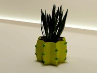 cactus plant pot 50  | 3D