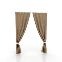 Curtain 3D Model