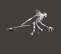 Fiddlesticks 3D Model | 3D