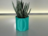 Succulent Plant Pot 18 | 3D