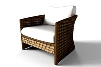 Hana Tiger Orange Rug