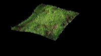 green field with grass and dirt
