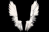 Angel Wings Rig