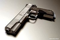 45 ACP smith and wesson gun