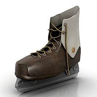 Skates 3D Model