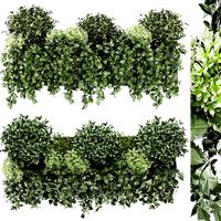 Collection plant vol 57