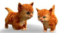 Fur Cute Cat kitten yellow animated