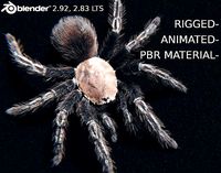 Skeleton Tarantula - Rigged and Animated