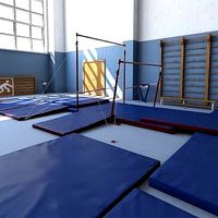 Gymnastics Training Camp