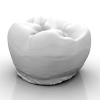 Tooth 3D Model
