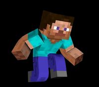 STEVE MINECRAFT FOR ANIMATE
