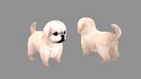 Cartoon pet puppy - White Pekingese - baby dog