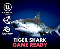 Tiger Shark - GameReady