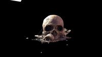 Broken Skull with Spider webs 6