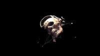 Broken Skull with Spider webs 3