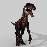 Raptor Forever - 8K