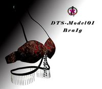 DTS-Model01-Bra1G