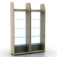Shelves 3D Model