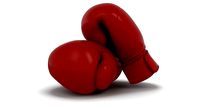 Boxing gloves