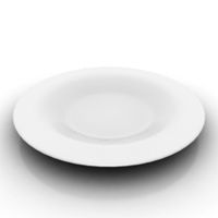Plate 3D Model