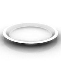Plate 3D Model