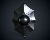 Talhoffer Buckler Shield