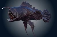 Angler fish