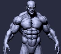 Strong Anatomy