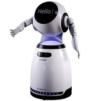 Robot Cruzr