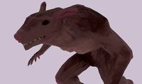 Ratman