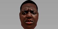 The Notorious BIG