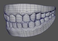 Teeth