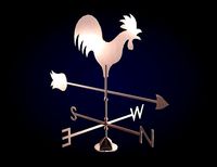 Weather Vane Bronze