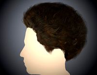 Male Afro Long  Hairstyle