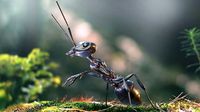 Ant Lowpoly-Midpoly