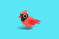 Chum the Cardinal - Quirky Series