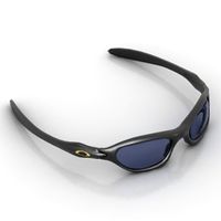 Glasses 3D Model