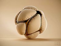 Abstract Surreal Pressure