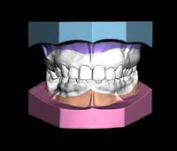 Ortho Model Base