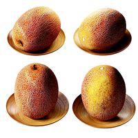 Melon galia