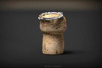 Ring wire muselet | 3D