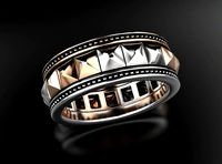 Stylish ring with spikes 641 | 3D