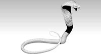 Highpoly Realistic Cobra Snake | 3D